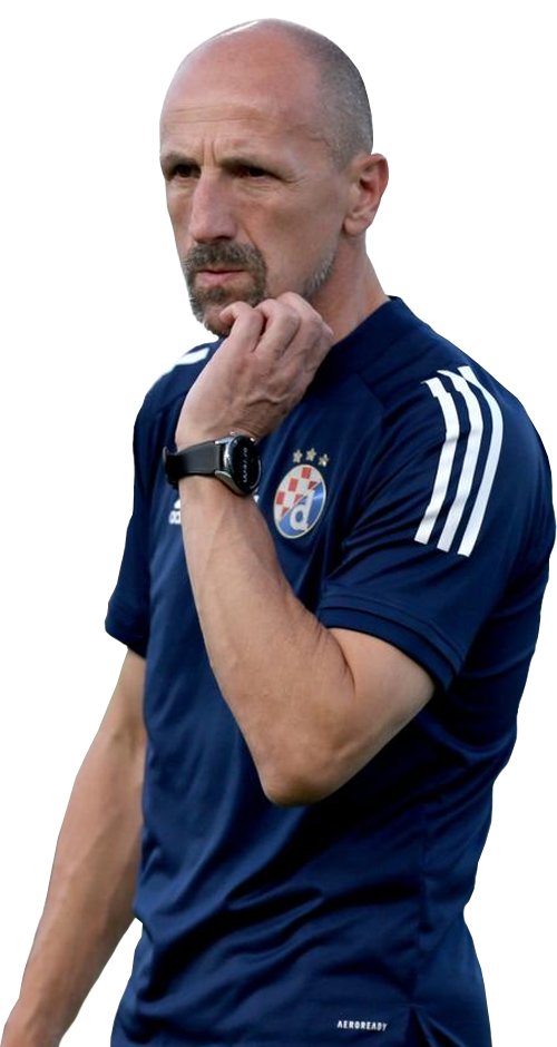 Damir Krznar, assistant coach era